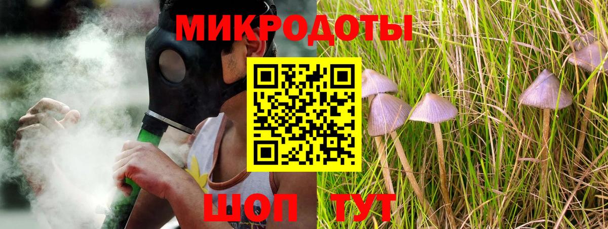 Галлюциногенные грибы мицелий Донской